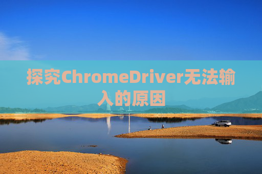 探究ChromeDriver无法输入的原因